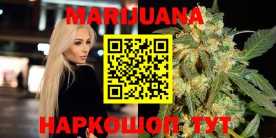 крисы Новодвинск