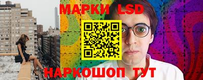 крисы Новодвинск