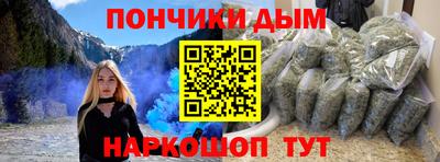 крисы Новодвинск