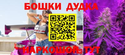 шишки Новозыбков