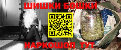 крисы Новодвинск