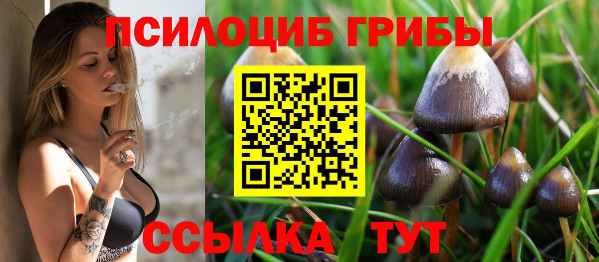 Галлюциногенные грибы прущие грибы  Псилоцибиновые грибы MAGIC MUSHROOMS  Рубцовск  Вход с VPN 